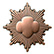 feature icon